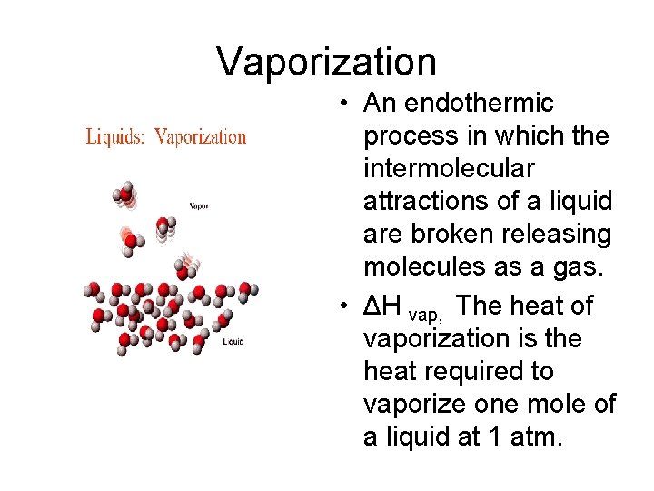 Vaporization • An endothermic process in which the intermolecular attractions of a liquid are