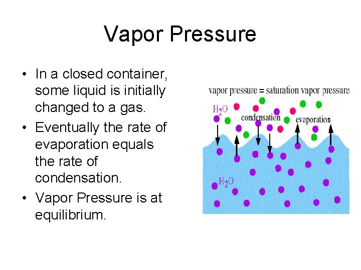 Vapor Pressure • In a closed container, some liquid is initially changed to a