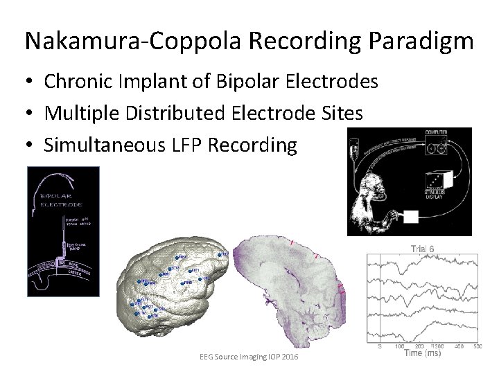 Nakamura-Coppola Recording Paradigm • Chronic Implant of Bipolar Electrodes • Multiple Distributed Electrode Sites
