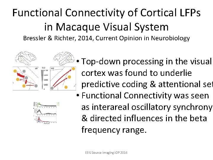 Functional Connectivity of Cortical LFPs in Macaque Visual System Bressler & Richter, 2014, Current