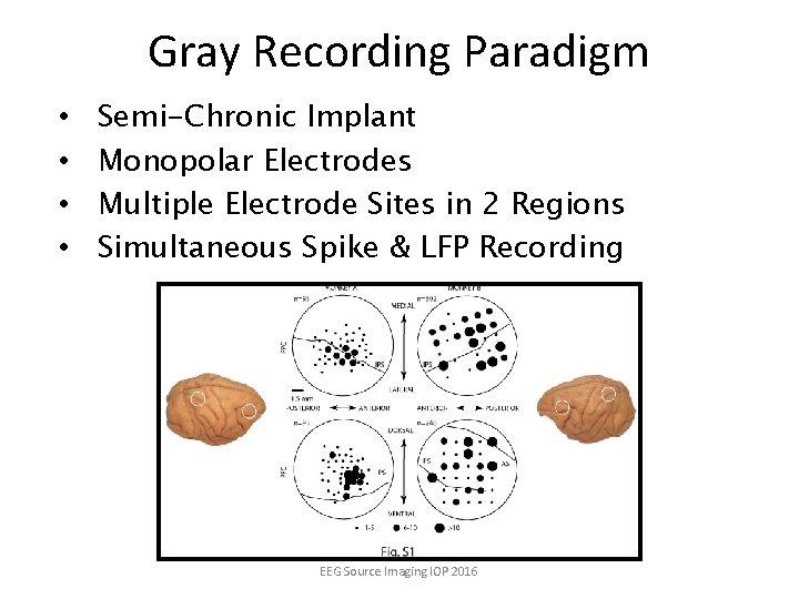 Gray Recording Paradigm • • Semi-Chronic Implant Monopolar Electrodes Multiple Electrode Sites in 2