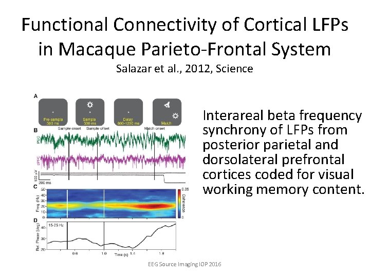 Functional Connectivity of Cortical LFPs in Macaque Parieto-Frontal System Salazar et al. , 2012,