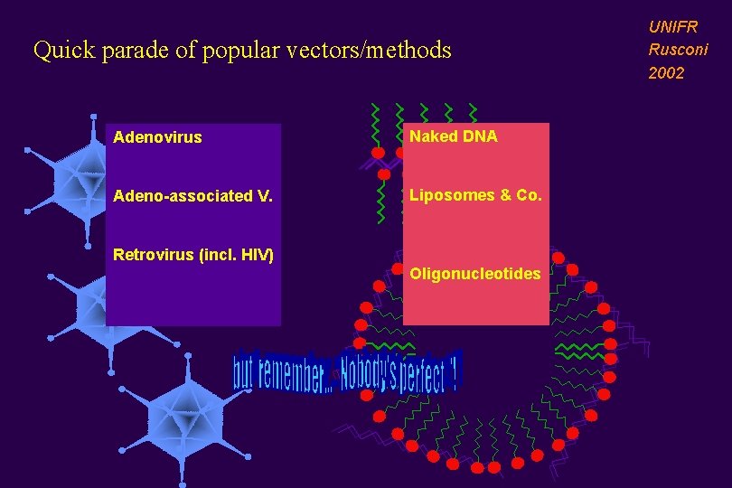 Quick parade of popular vectors/methods Adenovirus Naked DNA Adeno-associated V. Liposomes & Co. Retrovirus