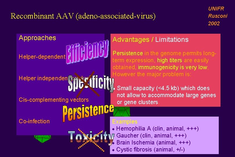 Recombinant AAV (adeno-associated-virus) Approaches Helper-dependent production Helper independent production Advantages / Limitations Persistence in