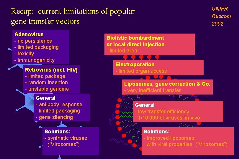 UNIFR Rusconi 2002 Recap: current limitations of popular gene transfer vectors Adenovirus - no