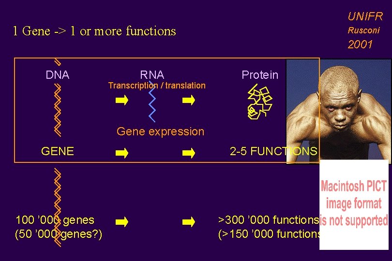 UNIFR 1 Gene -> 1 or more functions DNA RNA Transcription / translation Rusconi