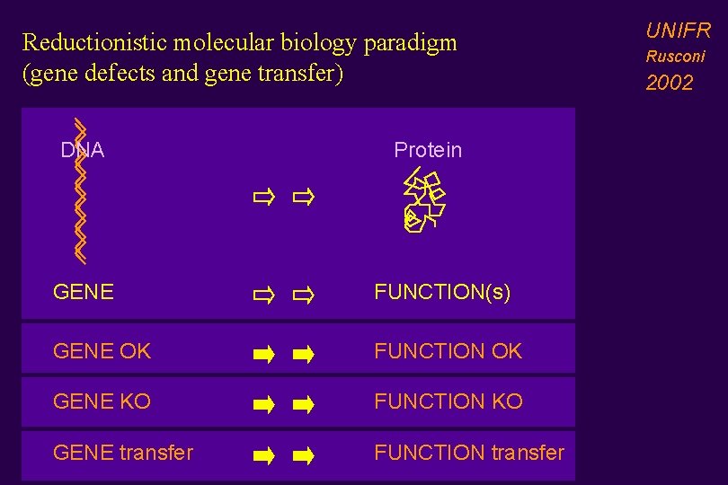 Reductionistic molecular biology paradigm (gene defects and gene transfer) DNA Protein GENE FUNCTION(s) GENE