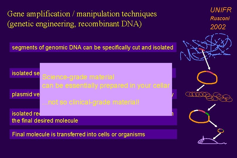 Gene amplification / manipulation techniques (genetic engineering, recombinant DNA) segments of genomic DNA can