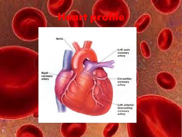 Heart profile 