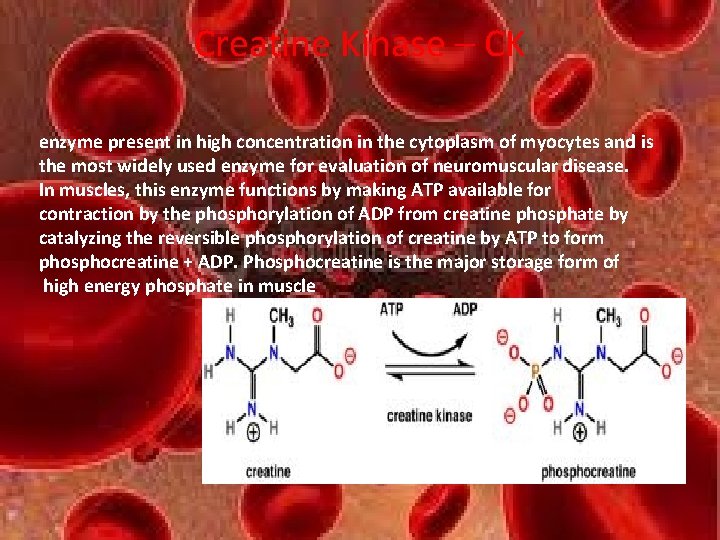 Creatine Kinase – CK enzyme present in high concentration in the cytoplasm of myocytes