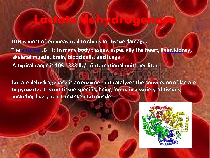 Lactate dehydrogenase LDH is most often measured to check for tissue damage. The enzyme