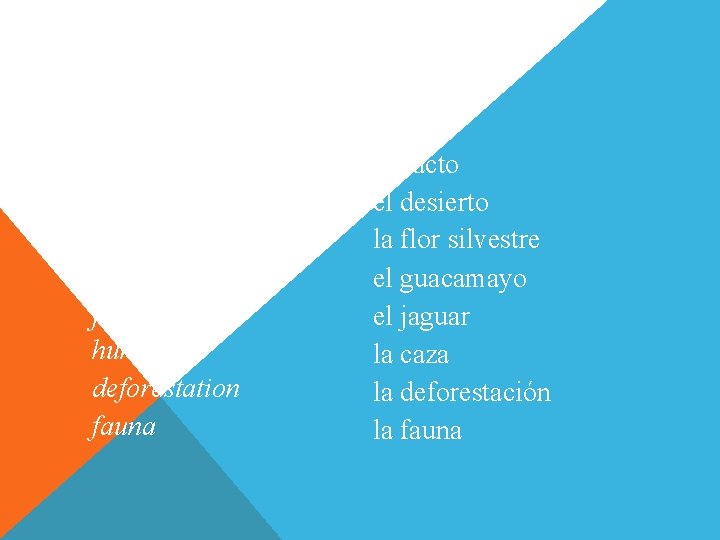 Vocabulario (English-Spanish) cactus desert wildflower macaw jaguar hunt deforestation fauna el cacto el desierto