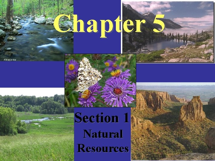 Chapter 5 Section 1 Natural Resources Chapter 5