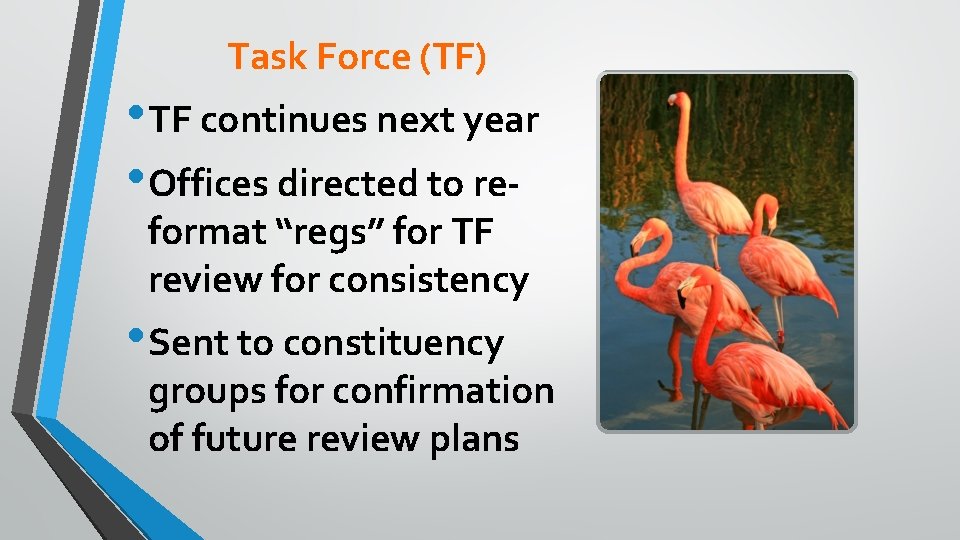 Task Force (TF) • TF continues next year • Offices directed to reformat “regs”