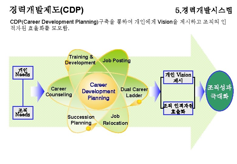 경력개발제도(CDP) 5. 경력개발시스템 CDP(Career Development Planning)구축을 통하여 개인에게 Vision을 제시하고 조직의 인 적자원 효율화를