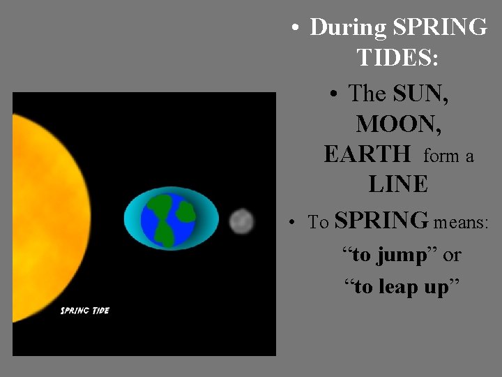  • During SPRING TIDES: • The SUN, MOON, EARTH form a LINE •