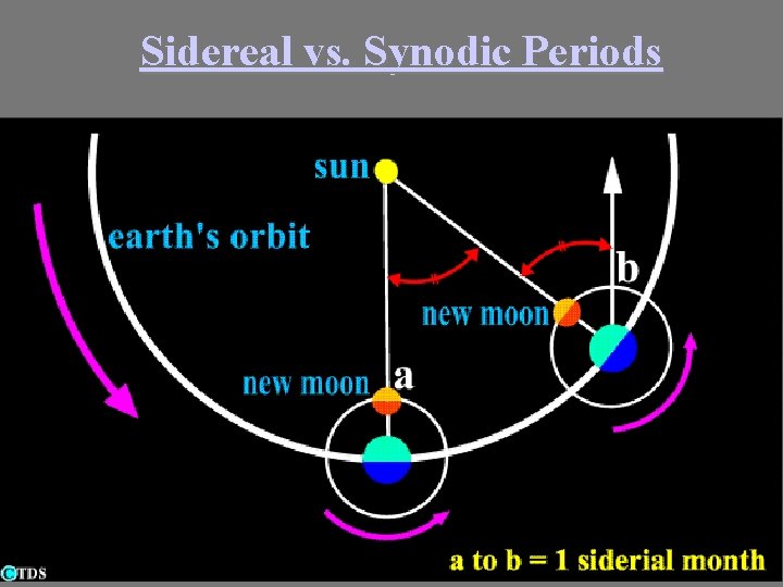 Sidereal vs. Synodic Periods 