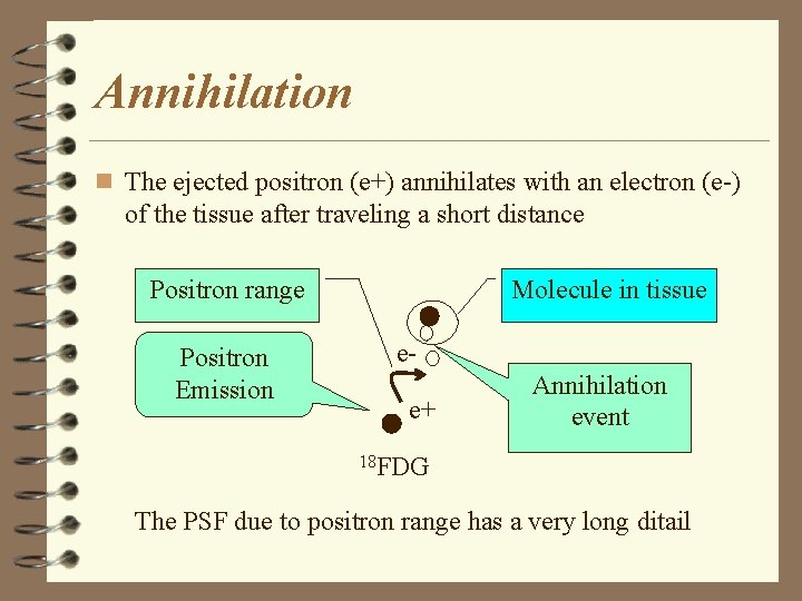 Annihilation n The ejected positron (e+) annihilates with an electron (e-) of the tissue
