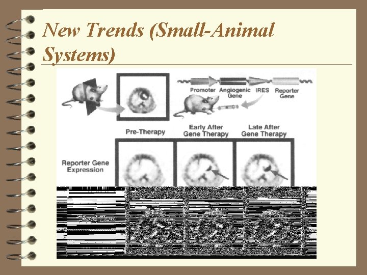 New Trends (Small-Animal Systems) 