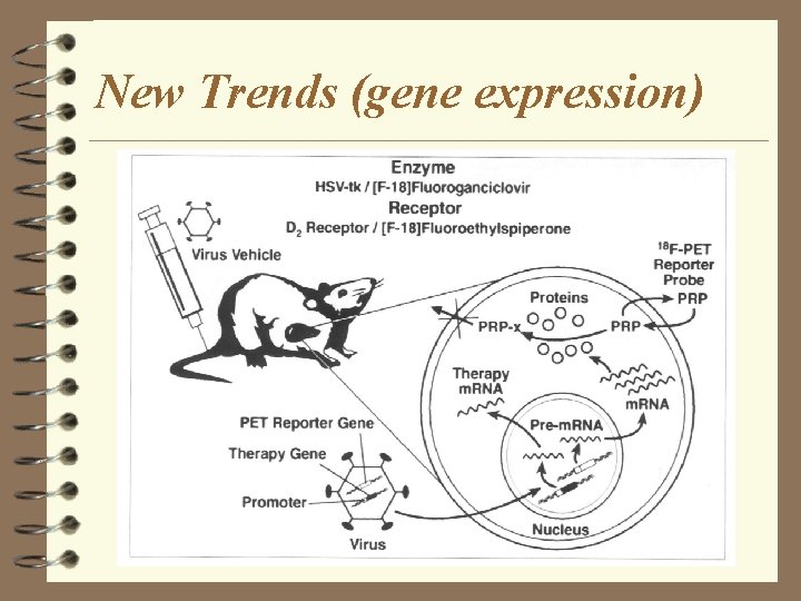 New Trends (gene expression) 