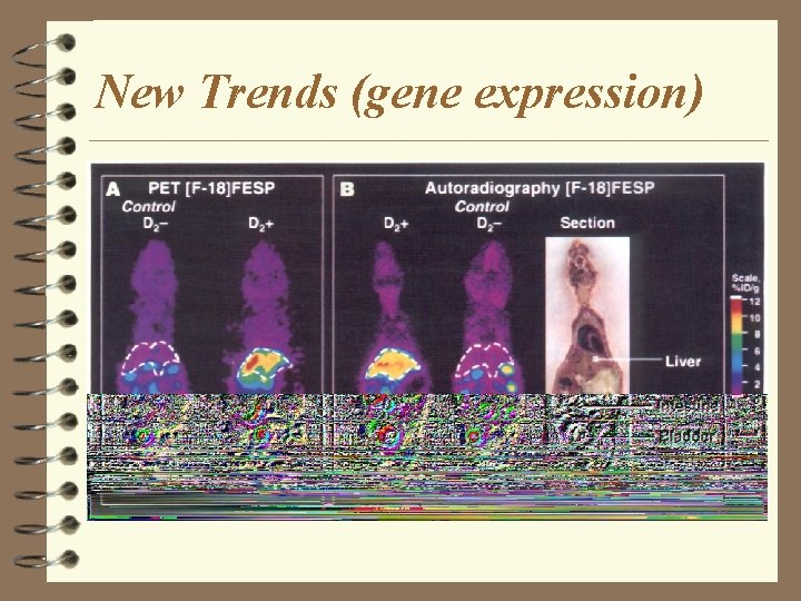 New Trends (gene expression) 