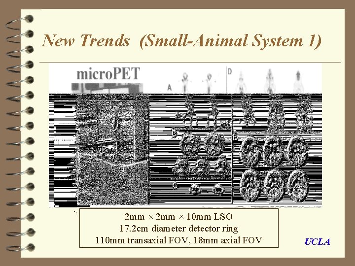 New Trends (Small-Animal System 1) 2 mm × 10 mm LSO 17. 2 cm