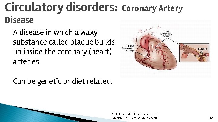 Circulatory disorders: Coronary Artery Disease A disease in which a waxy substance called plaque