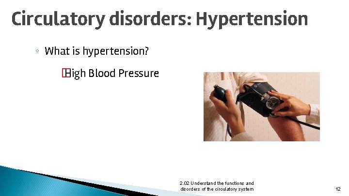 Circulatory disorders: Hypertension ◦ What is hypertension? � High Blood Pressure 2. 02 Understand