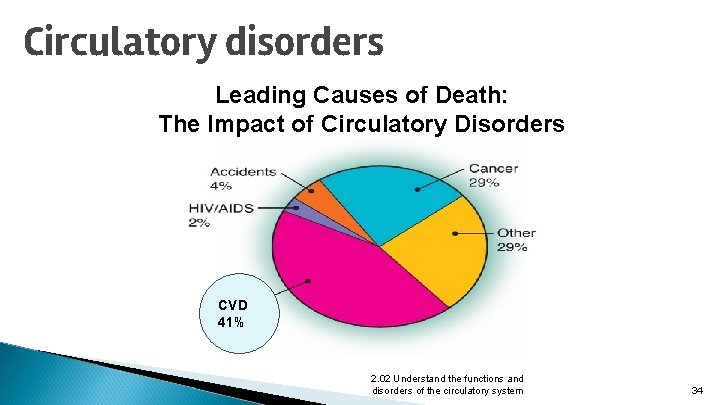 Circulatory disorders Leading Causes of Death: The Impact of Circulatory Disorders CVD 41% 2.
