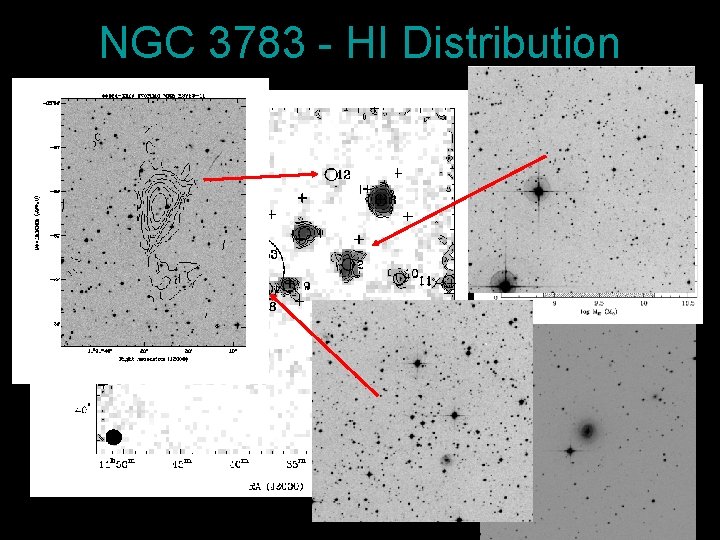 Neutral Hydrogen in Galaxy Groups Duncan Forbes Swinburne