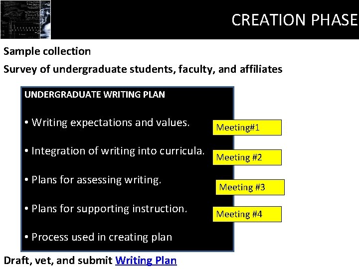 CREATION PHASE Sample collection Survey of undergraduate students, faculty, and affiliates UNDERGRADUATE WRITING PLAN