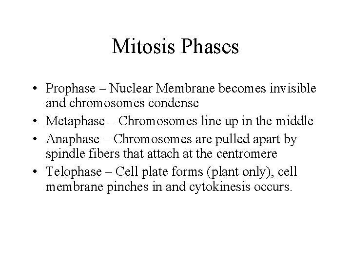 Mitosis Phases • Prophase – Nuclear Membrane becomes invisible and chromosomes condense • Metaphase