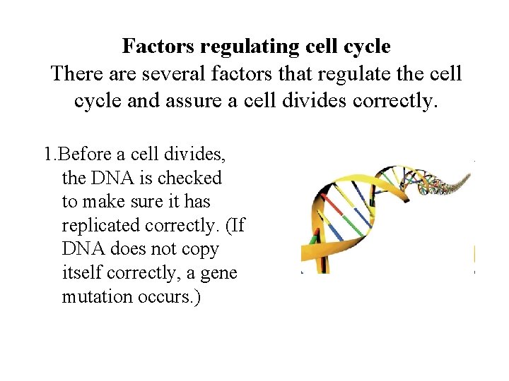 Factors regulating cell cycle There are several factors that regulate the cell cycle and