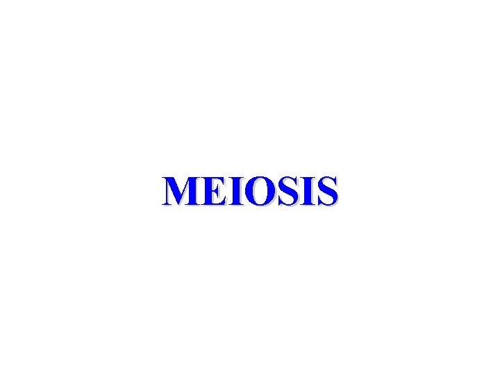 MEIOSIS 