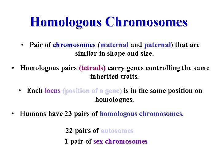 Homologous Chromosomes • Pair of chromosomes (maternal and paternal) paternal that are similar in