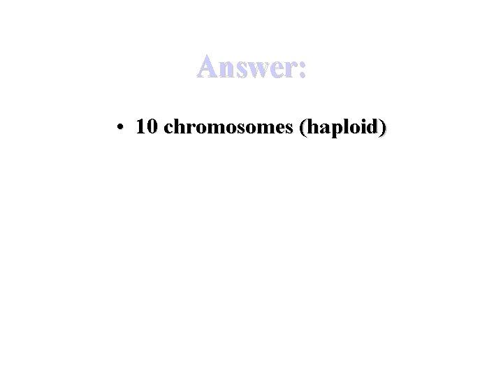 Answer: • 10 chromosomes (haploid) 