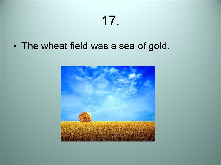17. • The wheat field was a sea of gold. 