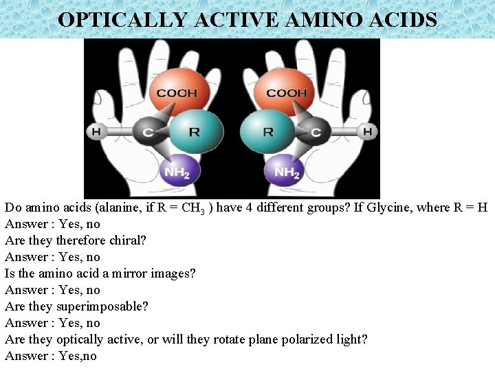 OPTICALLY ACTIVE AMINO ACIDS Do amino acids (alanine, if R = CH 3 )
