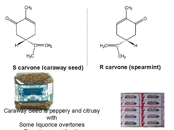 S carvone (caraway seed) R carvone (spearmint) Caraway Seed is peppery and citrusy with