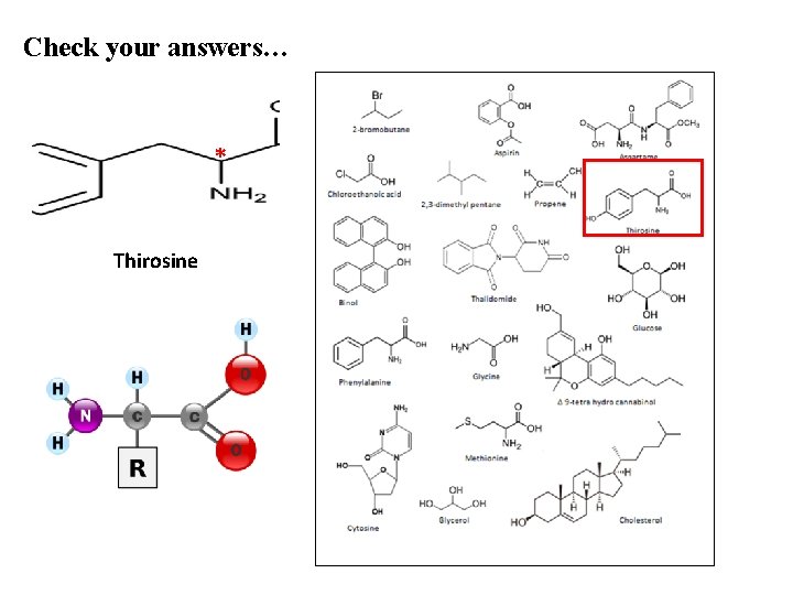 Check your answers… * Thirosine 