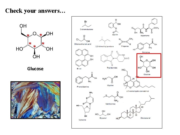 Check your answers… * * ** * Glucose 