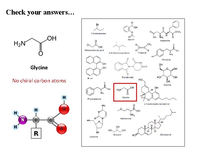 Check your answers… Glycine No chiral carbon atoms 