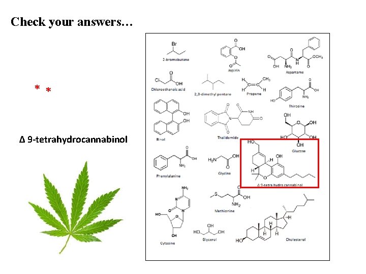Check your answers… * * ∆ 9 -tetrahydrocannabinol 