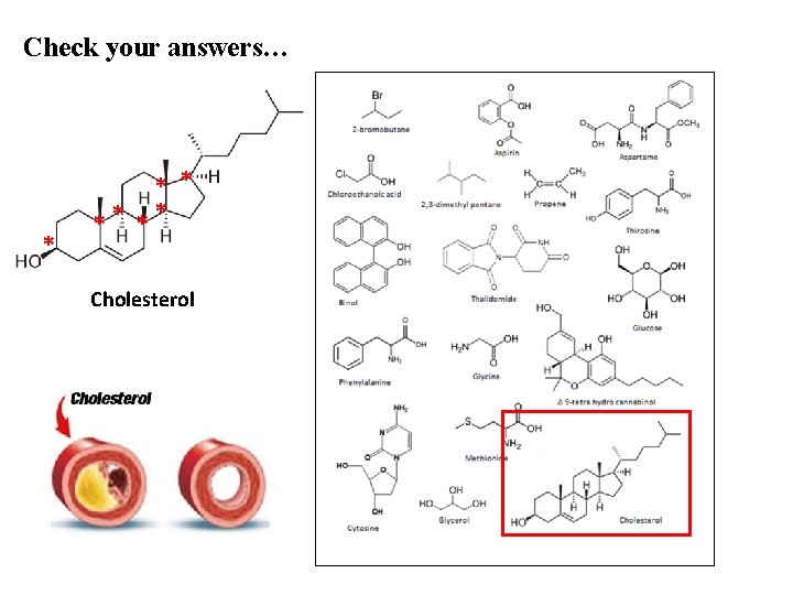 Check your answers… * ** ** Cholesterol 