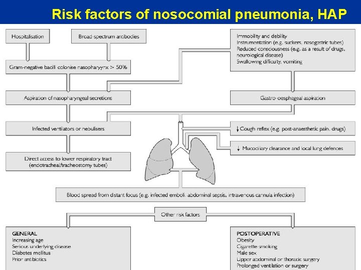 Risk factors of nosocomial pneumonia, HAP 