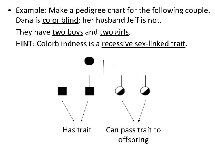  • Example: Make a pedigree chart for the following couple. Dana is color