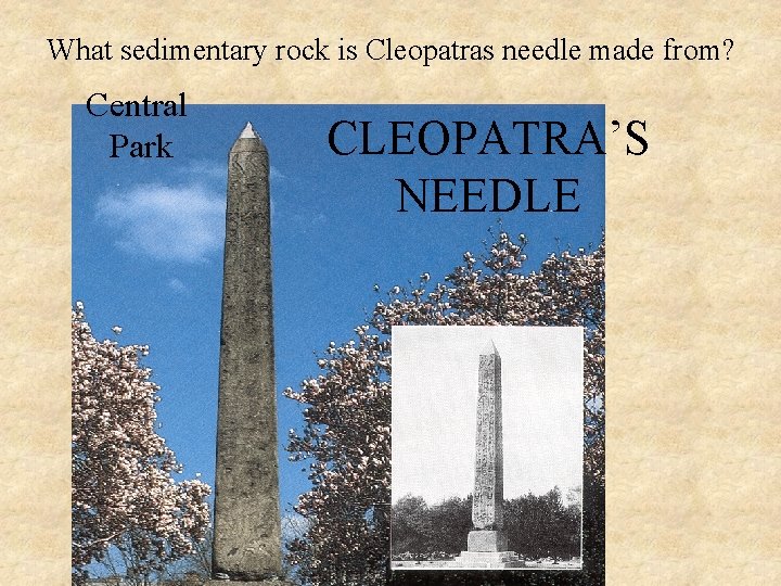 What sedimentary rock is Cleopatras needle made from? Central Park CLEOPATRA’S NEEDLE 