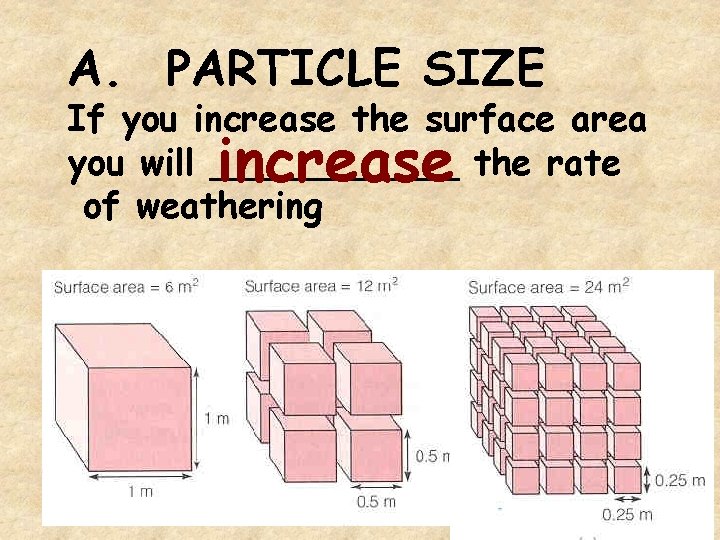 A. PARTICLE SIZE If you increase the surface area you will ______ the rate