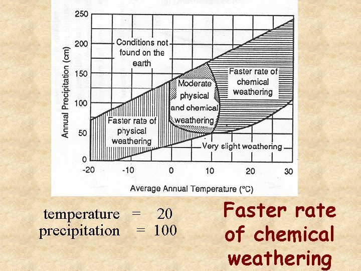 temperature = 20 precipitation = 100 Faster rate of chemical weathering 