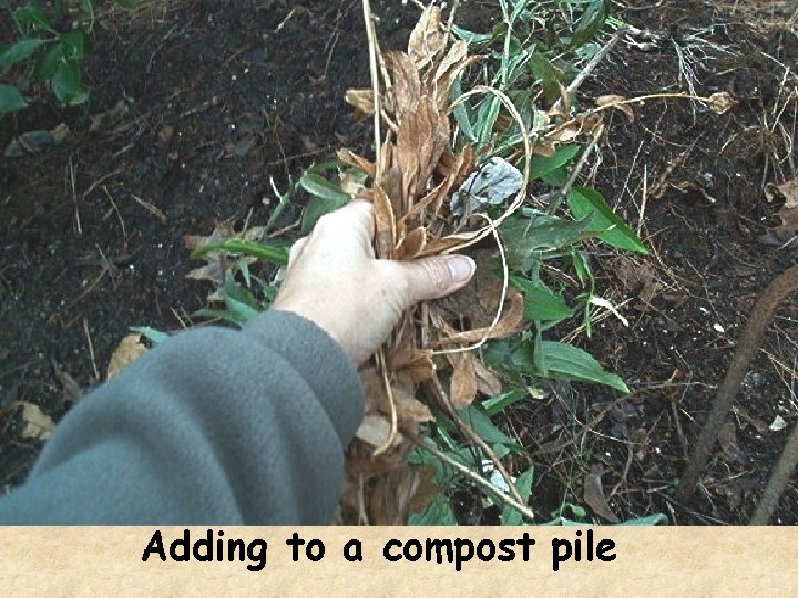 Adding to a compost pile 